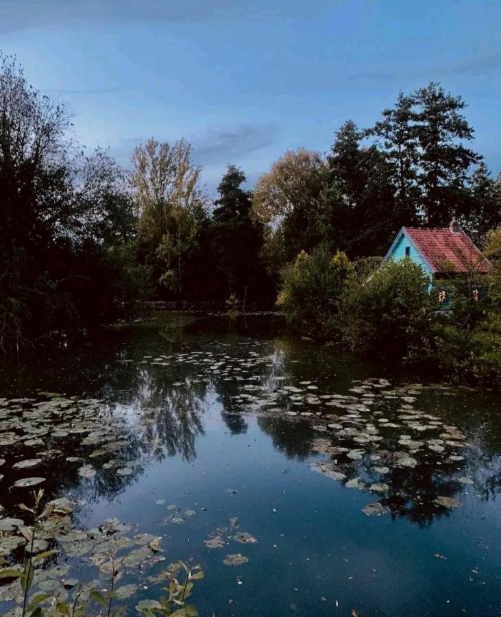 Maison Confortable, Terrasse Et Jardin A Amiens Exteriér fotografie