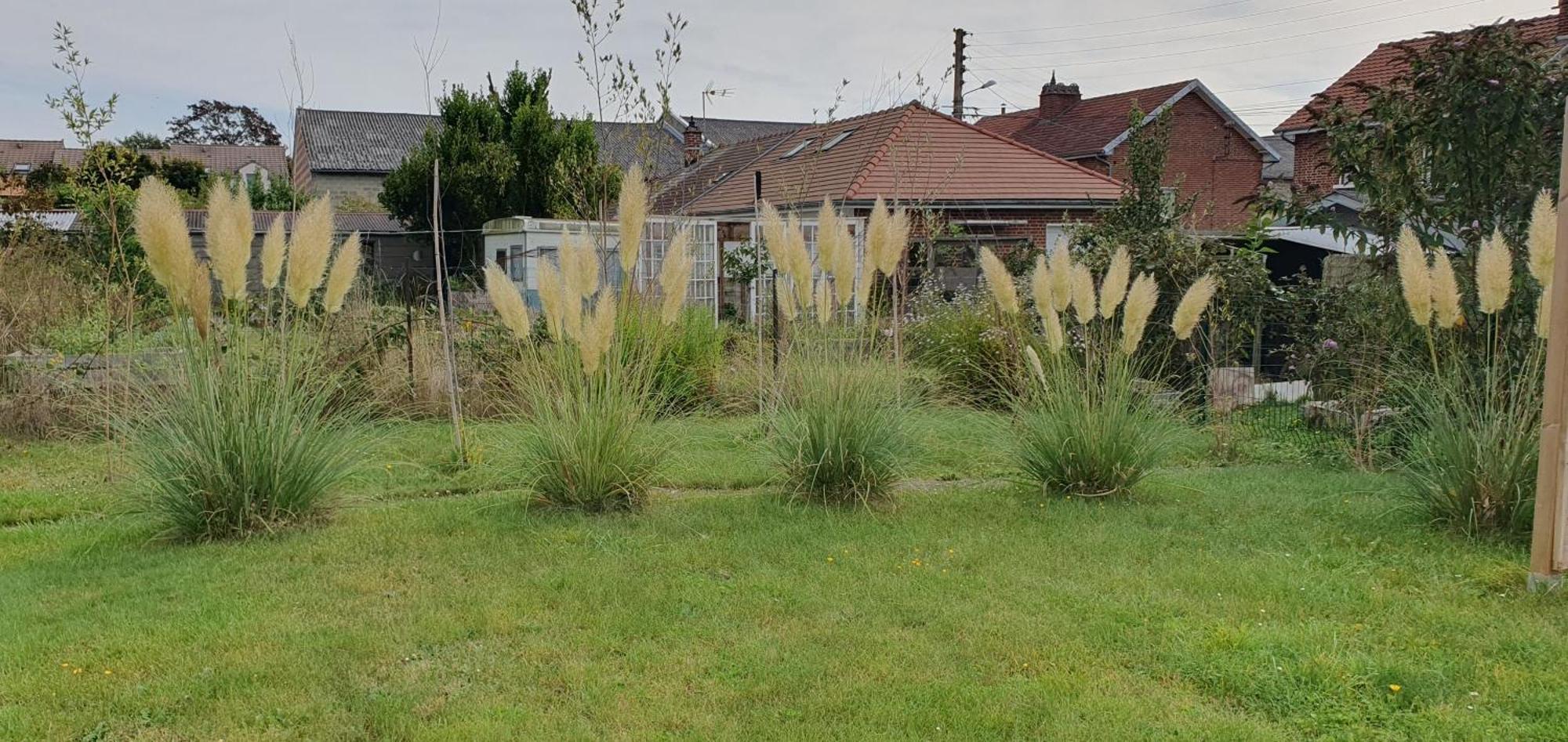 Maison Confortable, Terrasse Et Jardin A Amiens Exteriér fotografie